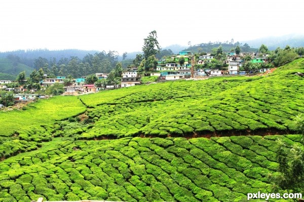 Munnar